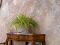 The details that make the difference, Villa Batelica with pool, Sveti Bartul, Istria, Croatia Sveti Bartul